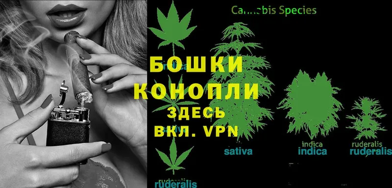 наркота  ссылка на мегу как войти  Конопля White Widow  сайты даркнета телеграм  Ставрополь 